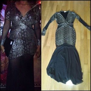 Mesh Shimmer Dress